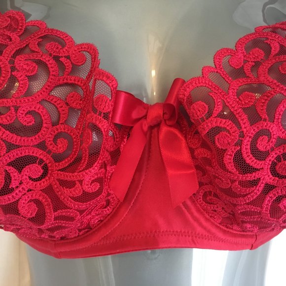 Victoria's Secret 34DD Unlined 1/2 Padding Push Up Cherry Red Lace Underwire Bra - Picture 5 of 16